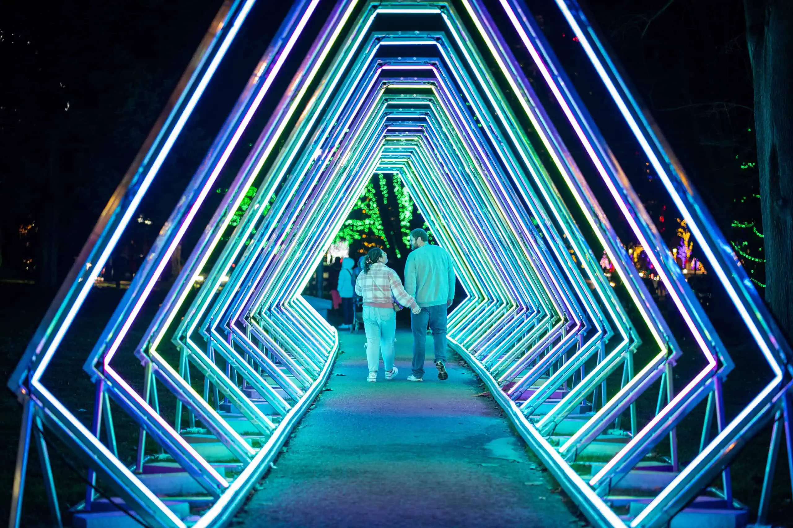 Winter Festival of Light 